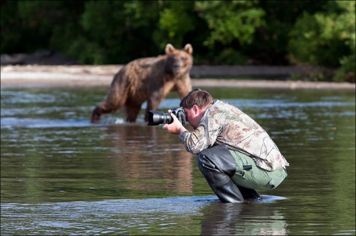 фотографы дикой природы