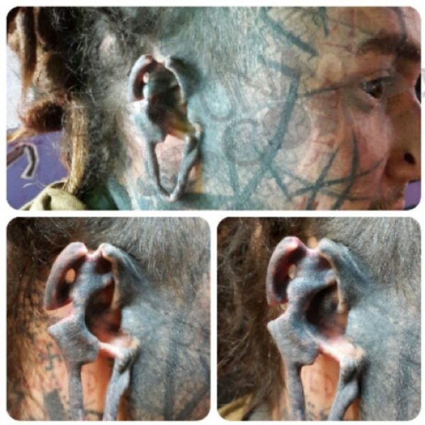 Вырезание на ушах - экстремальный тренд среди модификаторов тела 