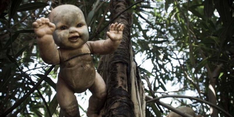 Ла Исла де ла Мюнека — остров в Мексике, «населенный» ужасными разлагающимися куклами 