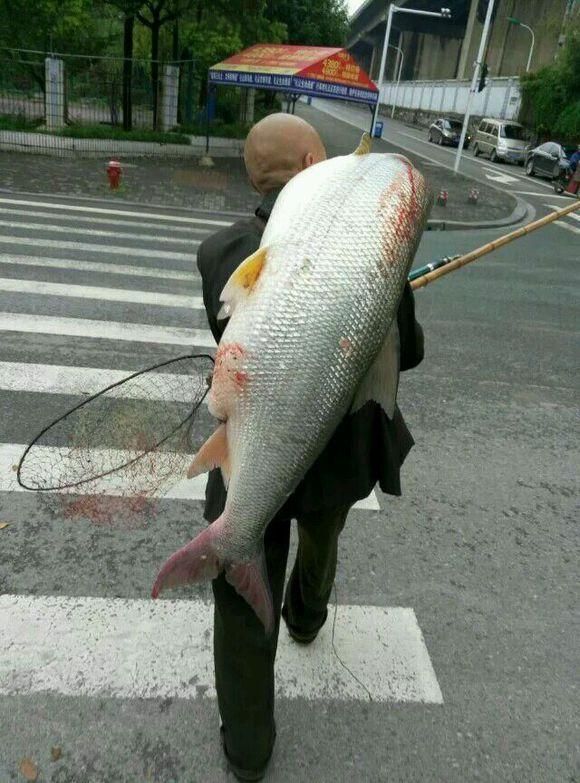 Старик поймал в реке Янцзы почти что золотую рыбку 