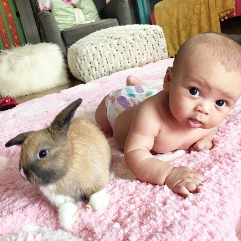 малыш и кролик