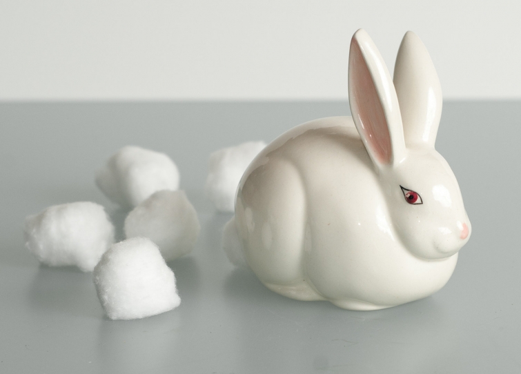 25 милейших вещиц для тех, кто неровно дышит к кроликам