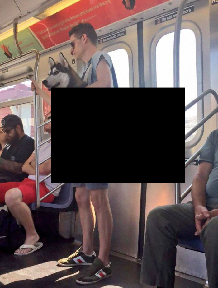 Как спокойно ездить в метро с большой собакой 
