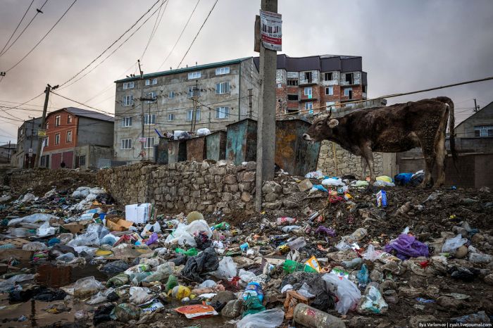 Махачкала – мусорная столица России 