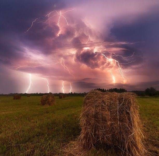 Прикольные картинки (113 фото) 12.08.2016 Прикольные картинки (113 фото) 12.08.2016