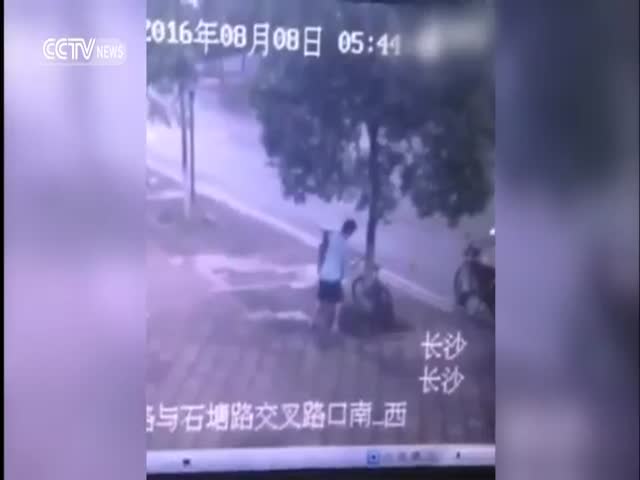 Китаец не поленился спилить дерево, чтобы украсть велосипед