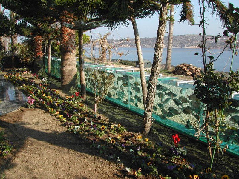 Самый необычный домашний аквариум-забор на побережье Эгейского моря 