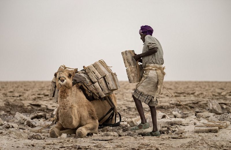 Пыльная и не денежная работенка по добыче соли в Эфиопии