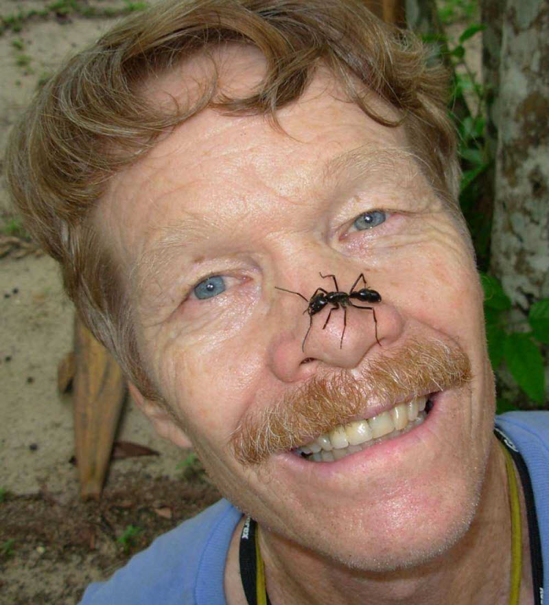 Худшие укусы насекомых в мире, по словам парня, испытавшего их все 