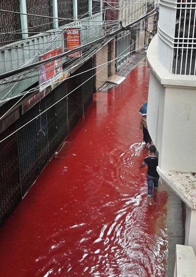 Кровавые потоки на улицах столицы Бангладеша после Курбан-байрама 
