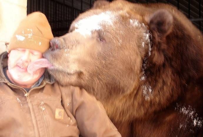 Многолетняя дружба мужика и выращенного им гигантского медведя 
