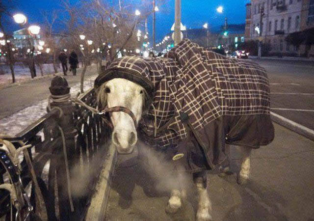 Удивительные снимки с российских просторов (42 фото) Удивительные снимки с российских просторов (42 фото)
