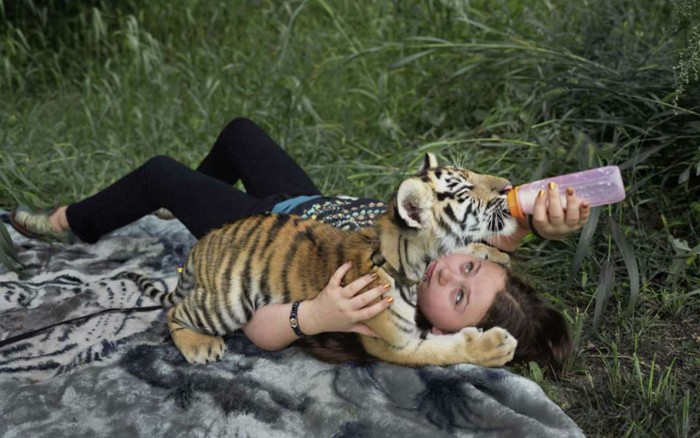Амелия и животные: мама 12 лет фотографирует дочь с дикими животными 