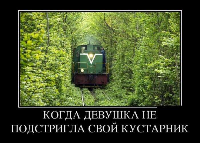 Демотиваторы (30 фото) 10.02.2017 Демотиваторы (30 фото) 10.02.2017