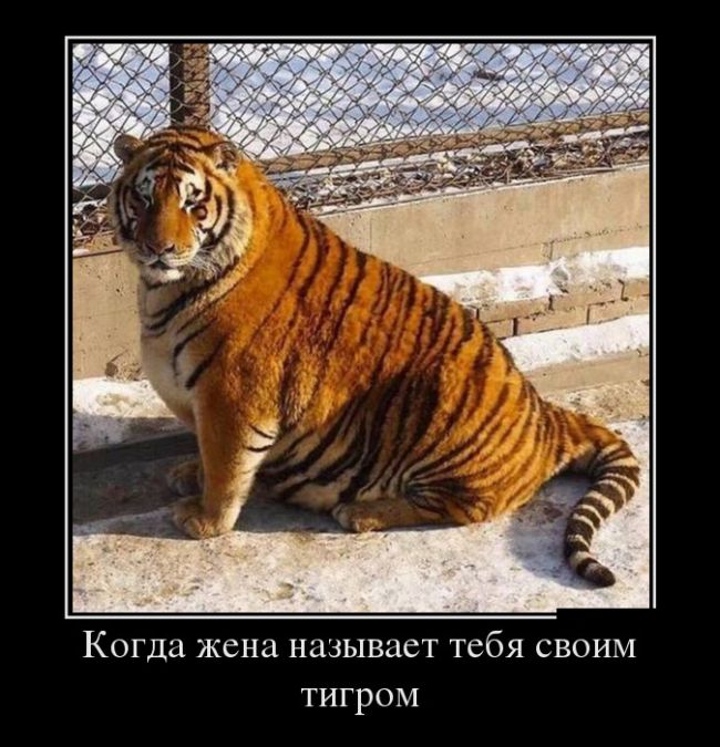 Демотиваторы (30 фото) 10.02.2017 Демотиваторы (30 фото) 10.02.2017