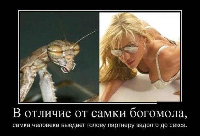 Демотиваторы (30 фото) 10.02.2017 Демотиваторы (30 фото) 10.02.2017