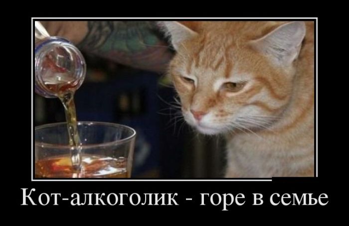 Демотиваторы (30 фото) 10.02.2017 Демотиваторы (30 фото) 10.02.2017