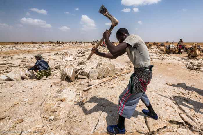 Работа в Эфиопии: сколько платят за добычу соли?