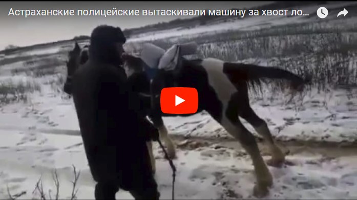 В Астрахани при буксировке полицейского автомобиля была задействована одна лошадиная сила