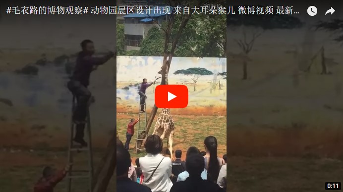 Жираф нелепо и трагически погиб в китайском зоопарке