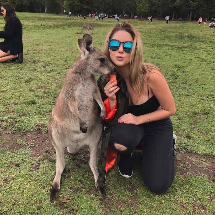 В Австралии кенгуру стали нападать на людей, если те приходят без еды