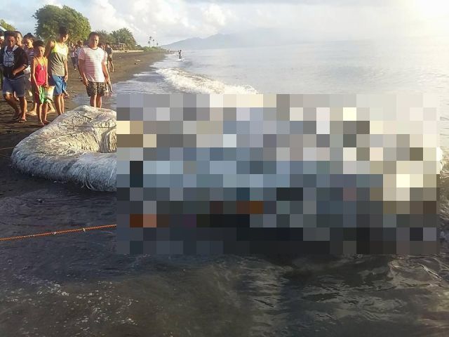 Лохматое существо выбило на берег Филиппин