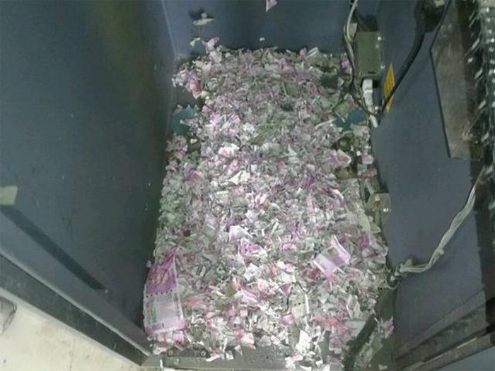 Индийские крысы сгрызли в банкомате миллион рупий