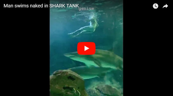 Мужчина разделся и прыгнул в аквариум с акулами