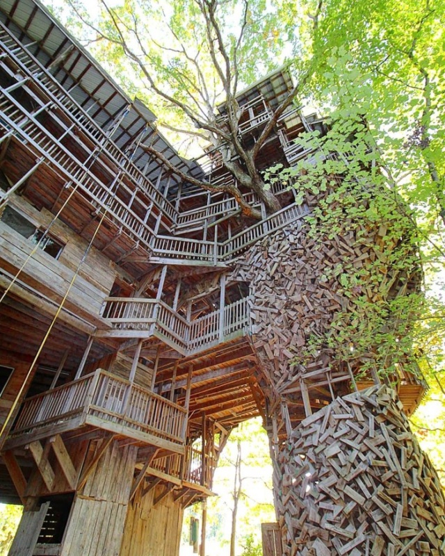 Необычный дом на дереве, который построил священник