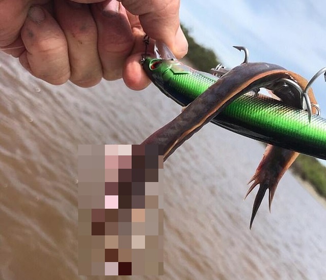 Рыбак из Австралии сфотографировал свой необычный "улов"