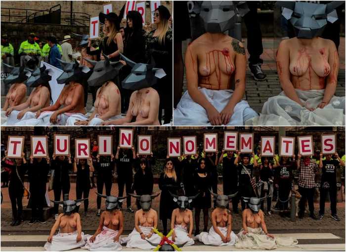 Против корриды: полуголые протестующие требуют отмены этой кровожадной традиции