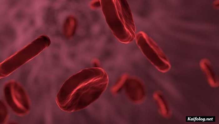Золотая кровь – самая редкая и ценная группа крови в мире