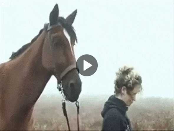 Анимация коня в кино