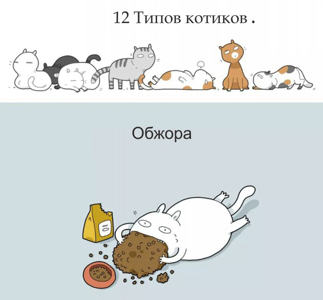 Шуточная классификация котов в веселых рисунках (12 картинок)