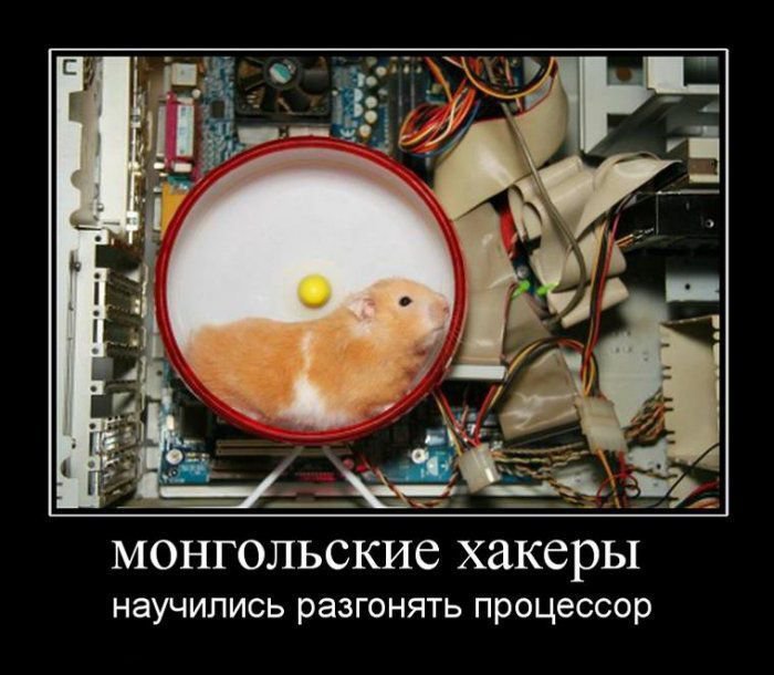 демотиватор