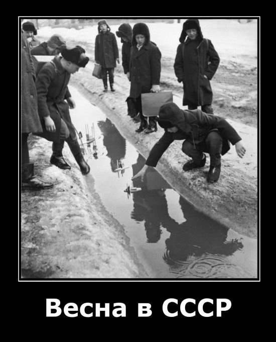 демотиватор