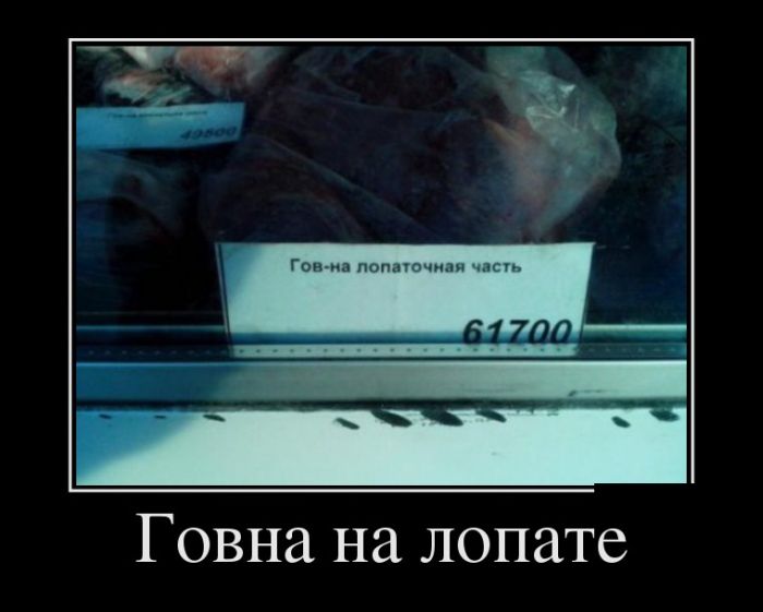 демотиватор