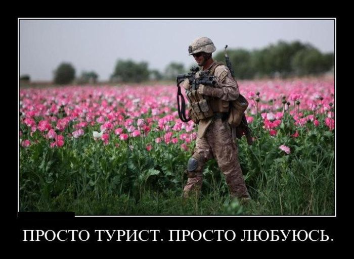 демотиватор