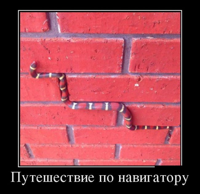 демотиватор
