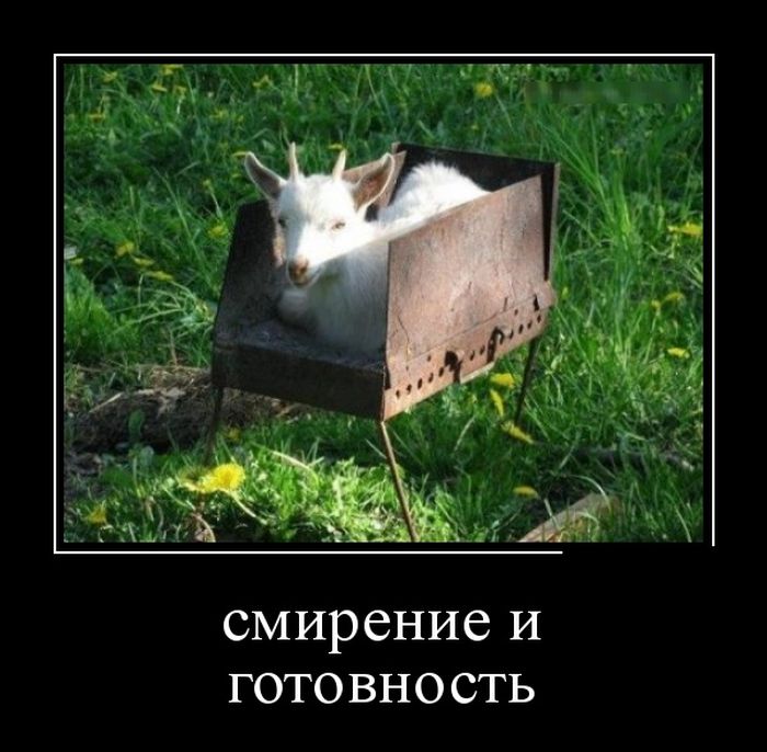 демотиватор