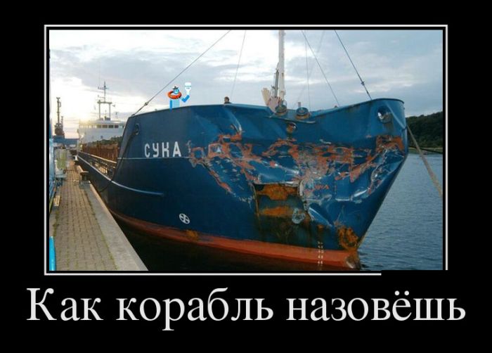 демотиватор