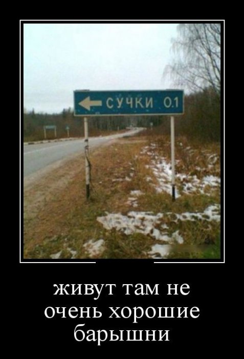 демотиватор