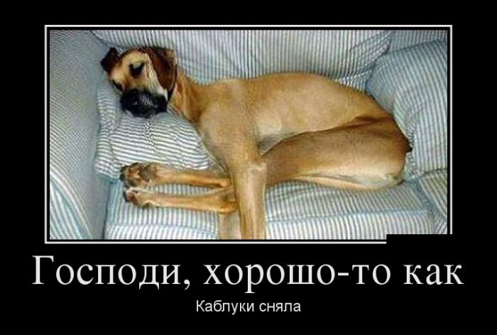 демотиватор картинка