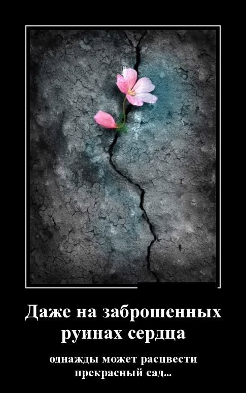 демотиватор картинка