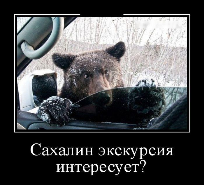 демотиватор картинка