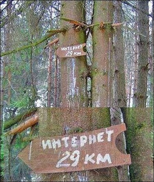 веселая картинка