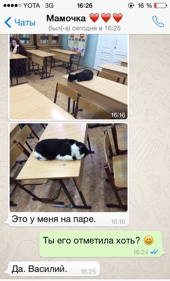 веселая картинка