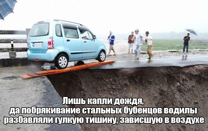 веселая картинка