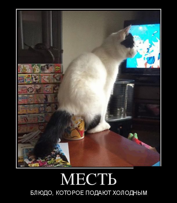 картинка с надписью демотиватор