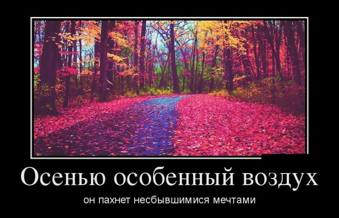 картинка с надписью демотиватор